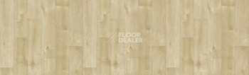 Линолеум Tarkett Bonus DUART 3 фото 1 | FLOORDEALER